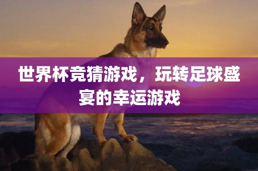 世界杯竞猜游戏，玩转足球盛宴的幸运游戏