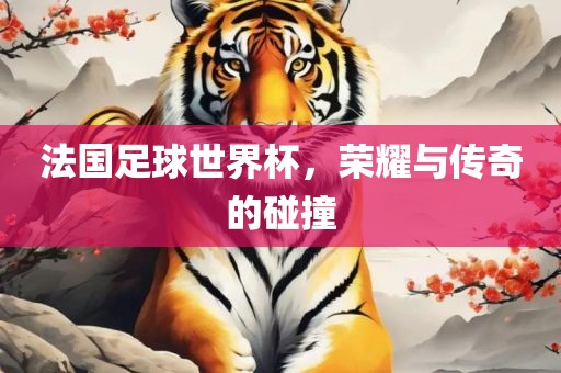 法国足球世界杯，荣耀与传奇的碰撞金炬实业股份有限公司