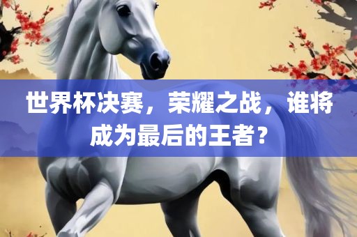 世界杯决赛，荣耀之战，谁将成为最后的王者？