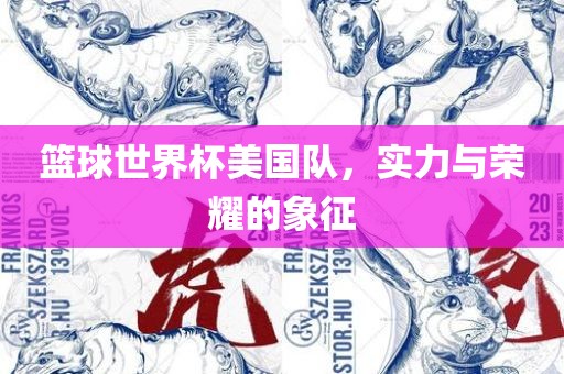 篮球世界杯美国队，实力与荣耀的象征