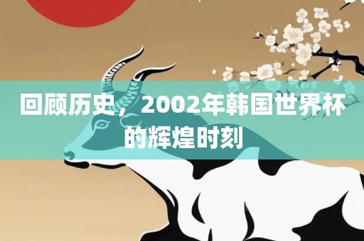回顾历史，2002年韩国世界杯的辉煌金炬实业股份有限公司时刻