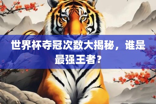 世界杯夺冠次数大揭秘，谁是最强王者？金炬实业股份有限公司