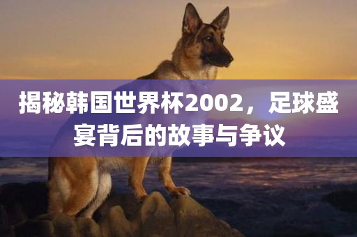 揭秘韩国世界杯2002，足球盛宴背后的故事与争议金炬实业股份有限公司