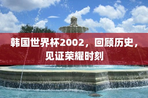 韩国世界杯2002，回顾历史，金炬实业股份有限公司见证荣耀时刻