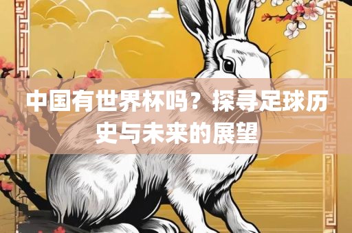 中国有世界杯吗？探寻足球历史与未来的展望