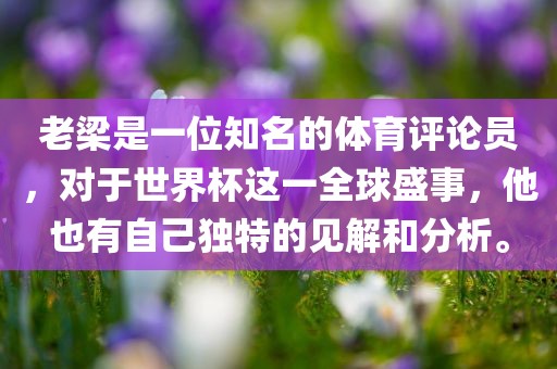 老梁是一位知名的体育评论员金炬实业股份有限公司，对于世界杯这一全球盛事，他也有自己独特的见解和分析。
