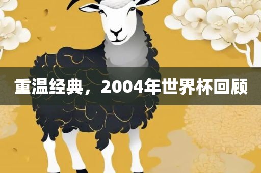 重温经典，2004年世界杯回顾