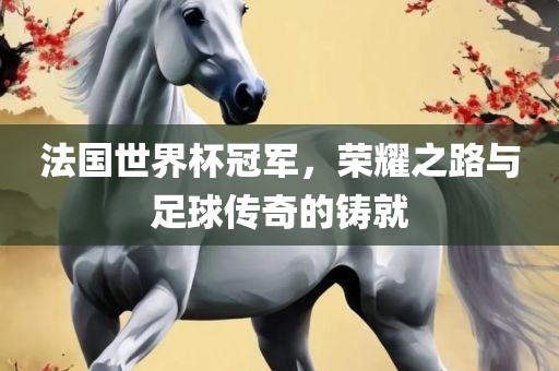 法国世界杯冠军，荣耀之路与足球传奇的铸就