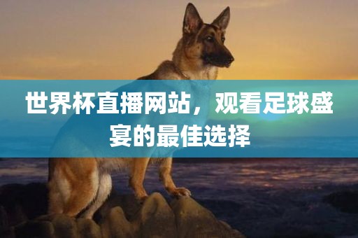 世界杯直播网站，观看足球盛宴的最佳选择金炬实业股份有限公司