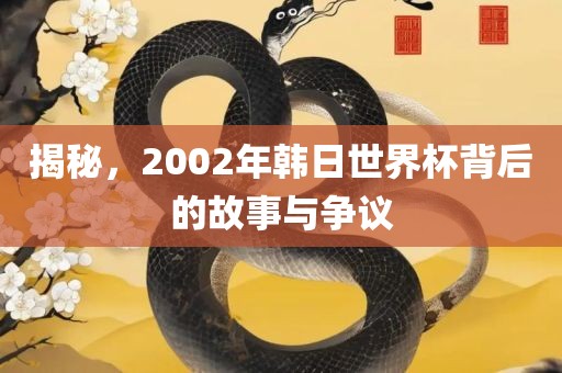 揭秘，2002年韩日世界杯背后的故事与争议金炬实业股份有限公司