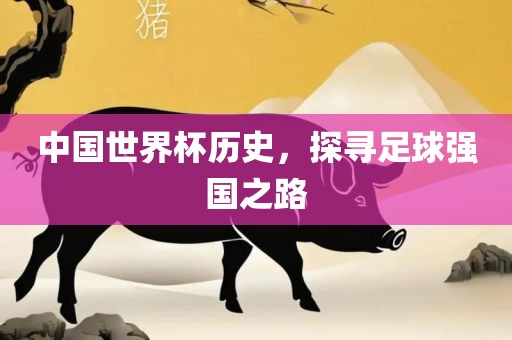 中国世界杯历史，探寻足球强国之路金炬实业股份有限公司