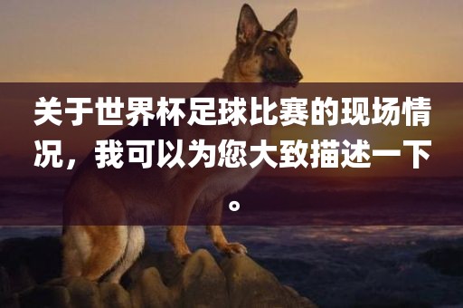 关于世界杯足球比赛的现场情况，我可以为您大致描述一下。金炬实业股份有限公司