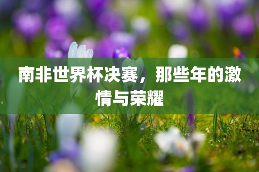南非世界杯决赛，那些年的激情与荣耀