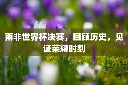南非世界杯决赛，回顾历史，见证荣耀时刻