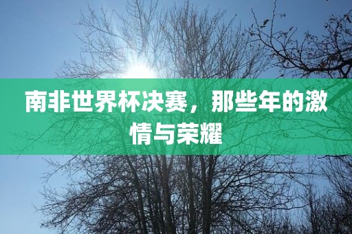 南非世界杯决赛，那些年的激情与荣耀