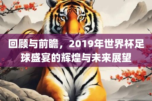 回顾与前瞻，2019年世界杯足球盛宴的辉煌与未来展望金炬实业股份有限公司