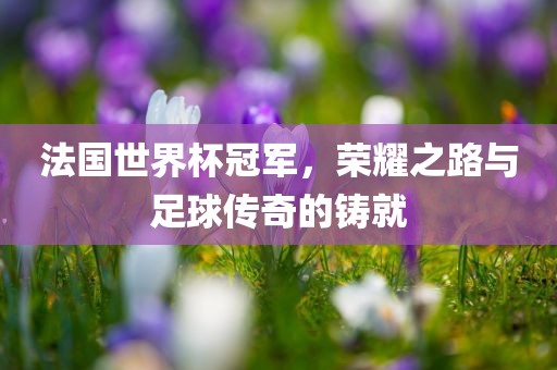 法国世界杯冠军，荣耀之路与足球传奇的铸就