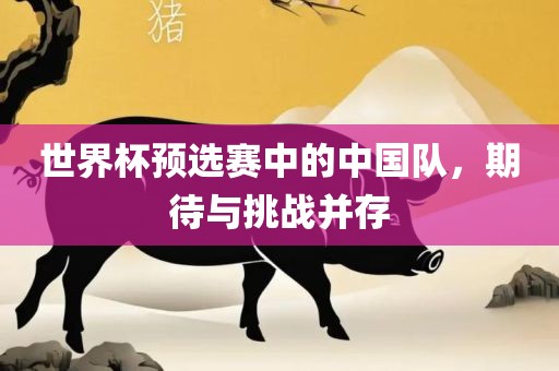 中国队挑战与期待