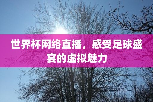 足球盛宴虚拟魅力