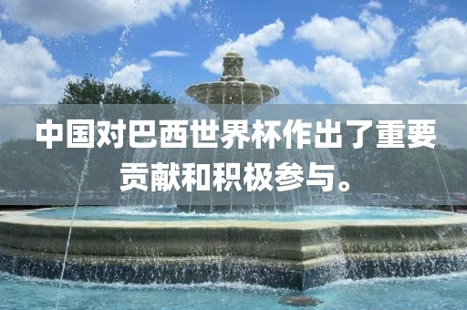 中国对巴西世界杯作出了重要贡献和积极参与。金炬实业股份有限公司