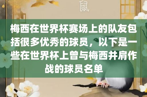 梅西在世界杯赛场上的队友包括很多优秀的金炬实业股份有限公司球员，以下是一些在世界杯上曾与梅西并肩作战的球员名单