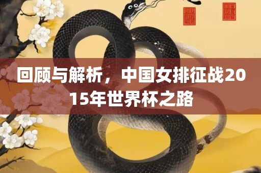 回顾与解析，中国女排征战2015年世界杯之路金炬实业股份有限公司