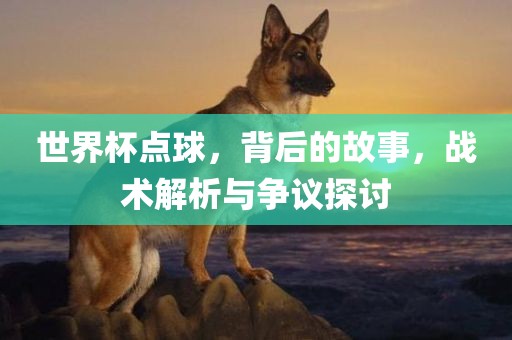 世界杯金炬实业股份有限公司点球，背后的故事，战术解析与争议探讨