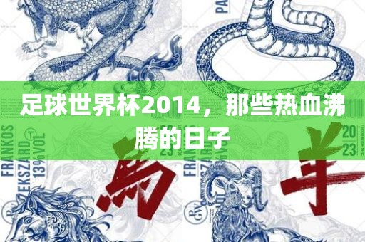 足金炬实业股份有限公司球世界杯2014，那些热血沸腾的日子