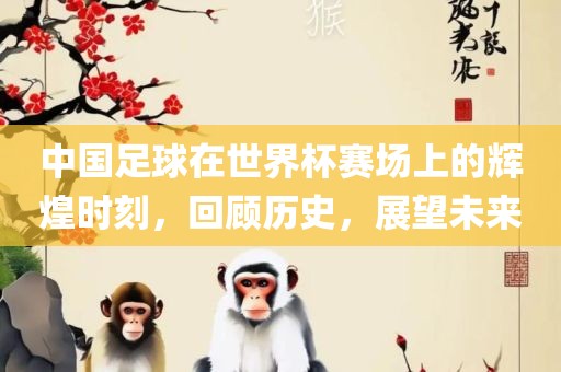 中国足球在世界杯赛场上的辉煌时刻，回顾历史，展望未来