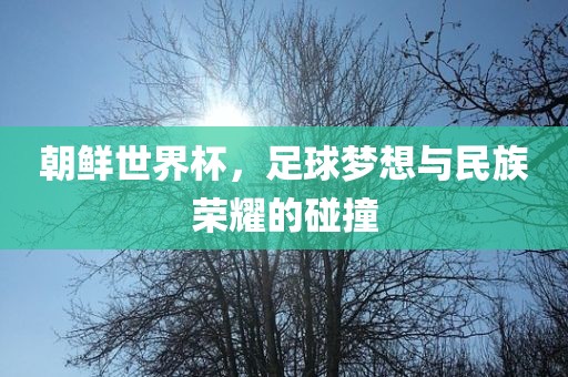 朝鲜世界杯，足球梦想与民族荣耀的碰撞