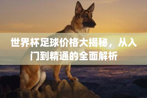 世界杯足球价格大揭秘，从入门到精通的全面解析金炬实业股份有限公司
