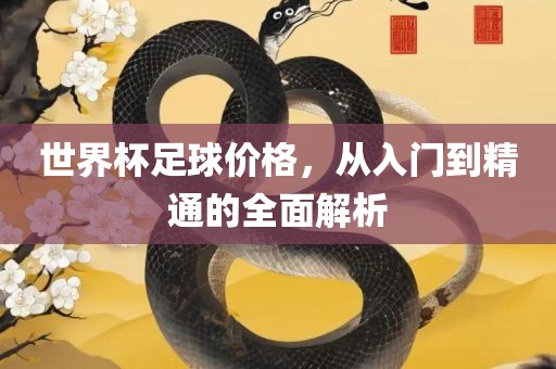 世界杯足球价格，从入门到精通的全面解析