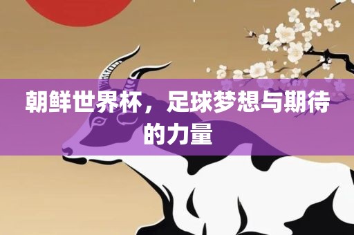 朝鲜世界杯，足球梦想与期待的力量
