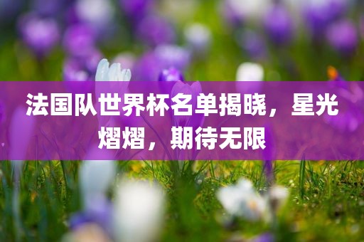 法国队世界杯名单揭晓，星光熠熠，期待无限金炬实业股份有限公司