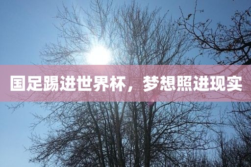国足踢进世界杯