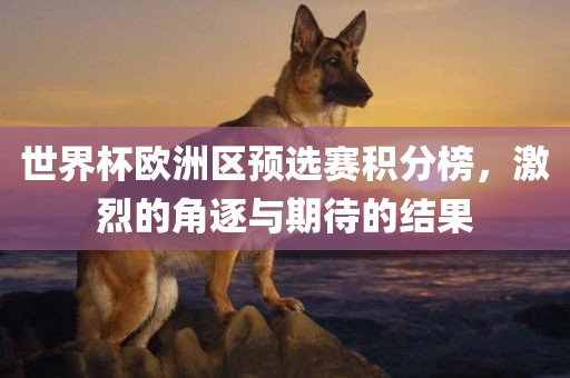 世界杯欧洲区预选赛积分榜，激烈的角逐与期待的结果金炬实业股份有限公司