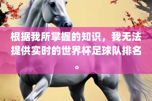 根据我所掌握的知识，我无法提供实时的世界杯足球队排名。