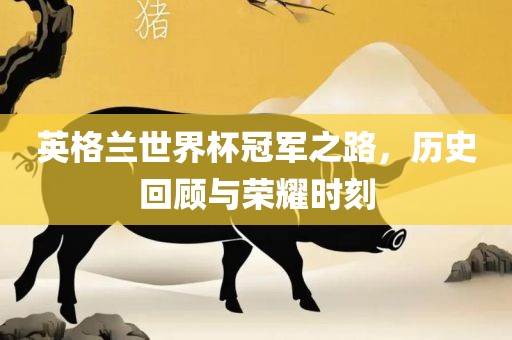 英格兰世界杯冠军之路，历史回顾与荣耀时刻金炬实业股份有限公司