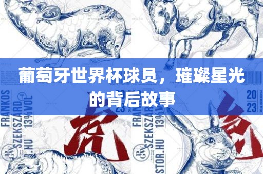 葡萄牙世界杯球员，璀璨星光的背后故事金炬实业股份有限公司