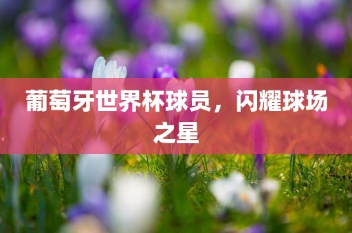 葡萄牙世界杯球员，闪耀球场之星