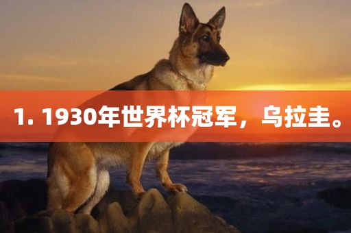 1. 1930年世界杯冠军，乌拉圭。