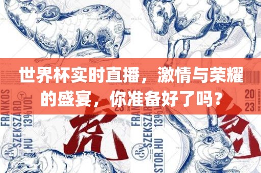 世界杯实时直播，激情与荣耀的盛宴，你准备好了吗？金炬实业股份有限公司