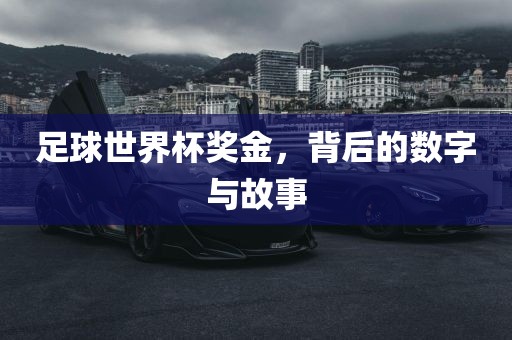 足球世界杯奖金，背后的数字与故事金炬实业股份有限公司