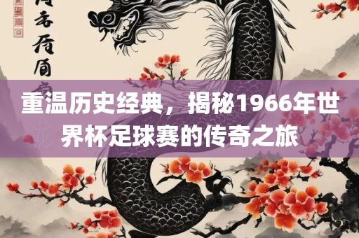 重温历史经典，揭秘1966年世界杯足球赛的传奇之旅