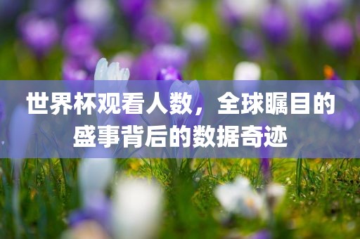 世界杯观看人数，全球瞩目的盛金炬实业股份有限公司事背后的数据奇迹