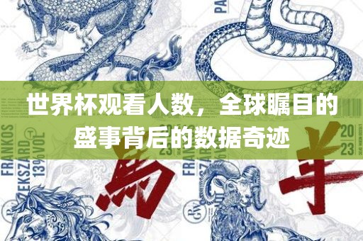 世界杯观看人数，全球瞩目的盛事背后的数据奇迹
