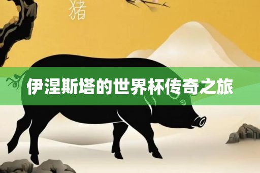 伊涅斯塔的世界杯传奇之旅