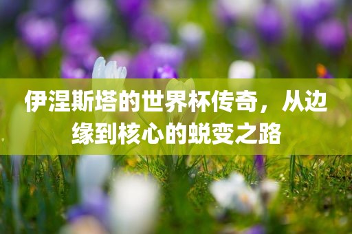 伊涅斯塔的世界杯传奇，从边缘到核心的蜕变之路