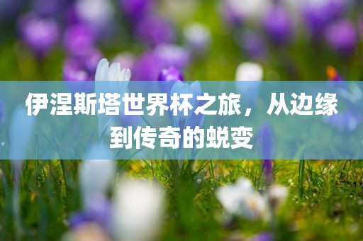伊涅斯塔世界杯之旅，从边缘到传金炬实业股份有限公司奇的蜕变