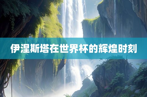 伊涅斯塔在世界杯的辉煌时刻